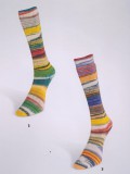 Eclectic Sock