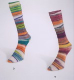 Eclectic Sock