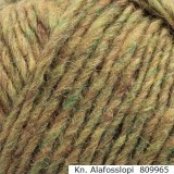Alafosslopi