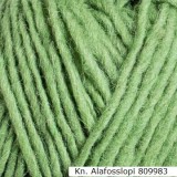 Alafosslopi